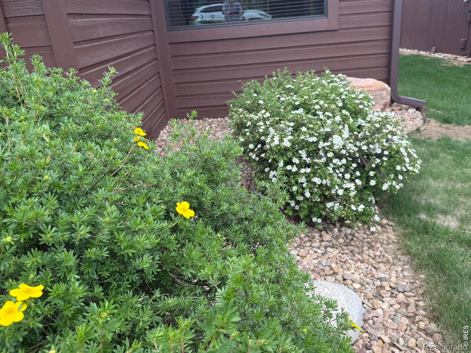 MLS Image #35 for 1449  matthew circle,estes park, Colorado
