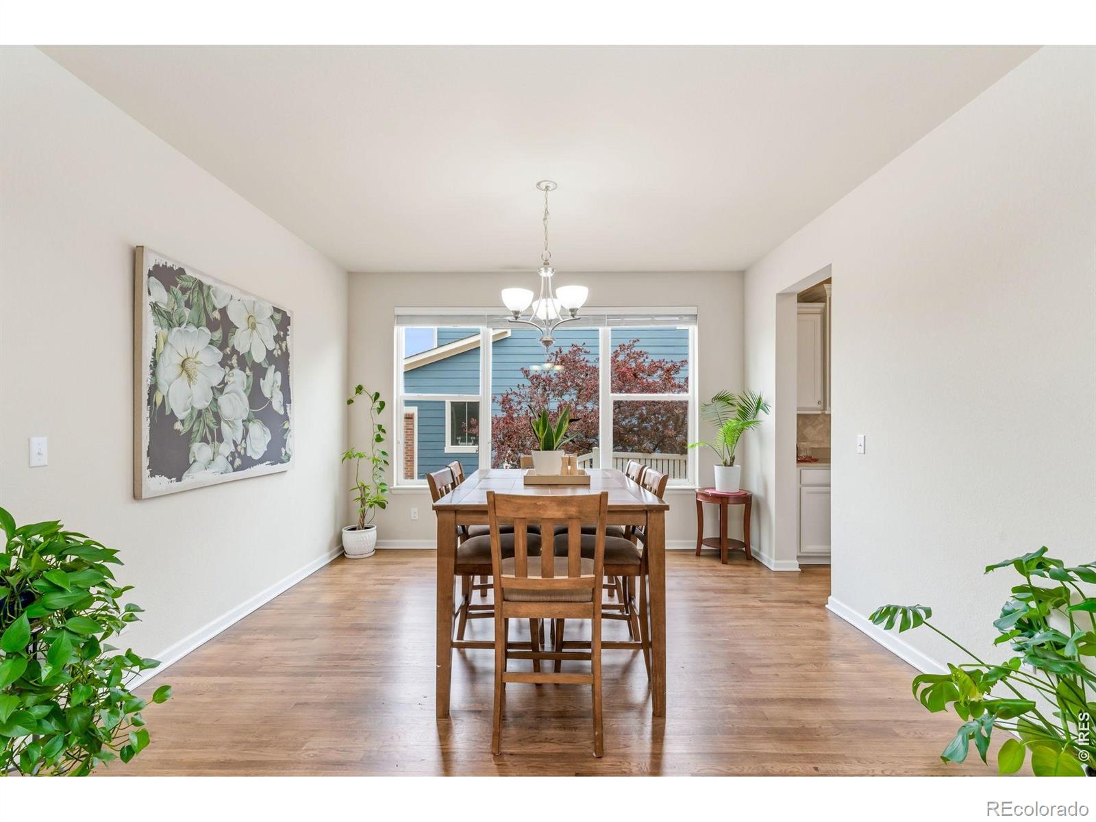 MLS Image #10 for 1645  dorothy circle,longmont, Colorado