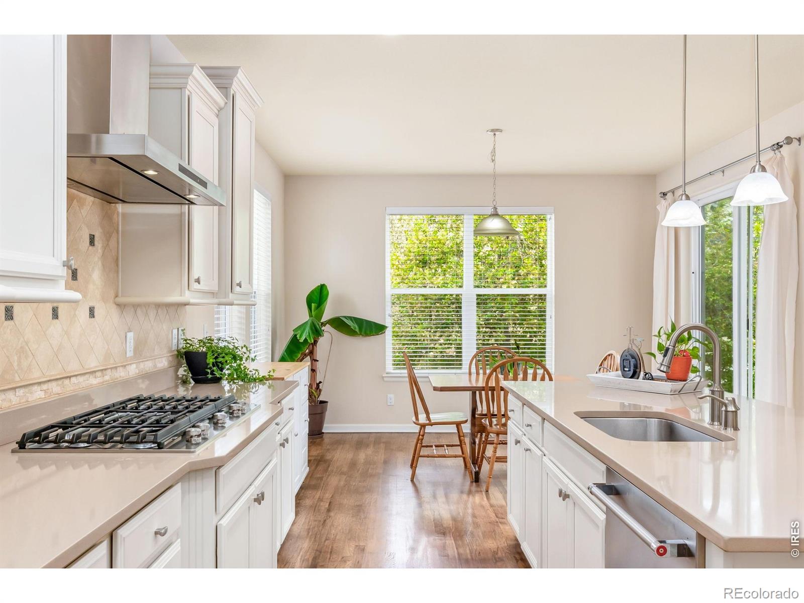 MLS Image #16 for 1645  dorothy circle,longmont, Colorado