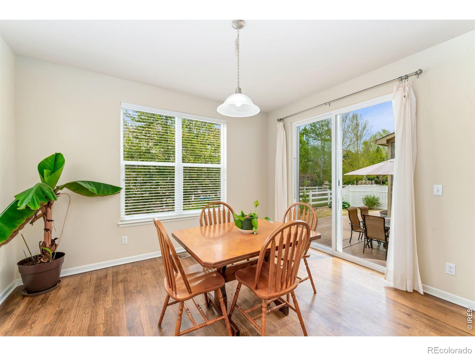 MLS Image #18 for 1645  dorothy circle,longmont, Colorado