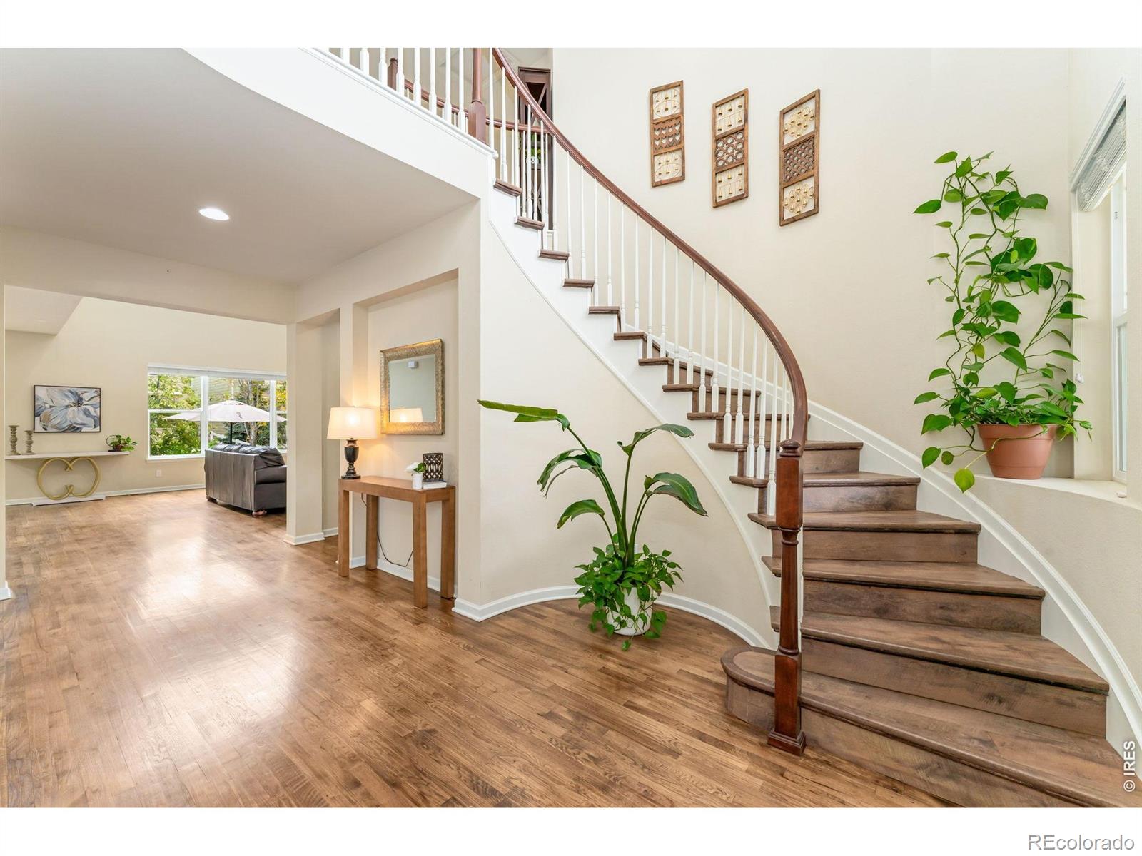 MLS Image #3 for 1645  dorothy circle,longmont, Colorado