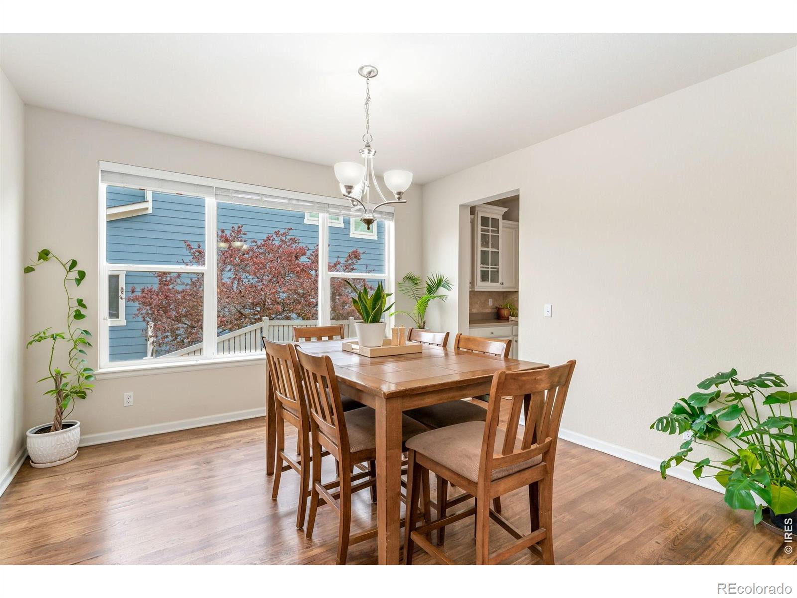 MLS Image #6 for 1645  dorothy circle,longmont, Colorado