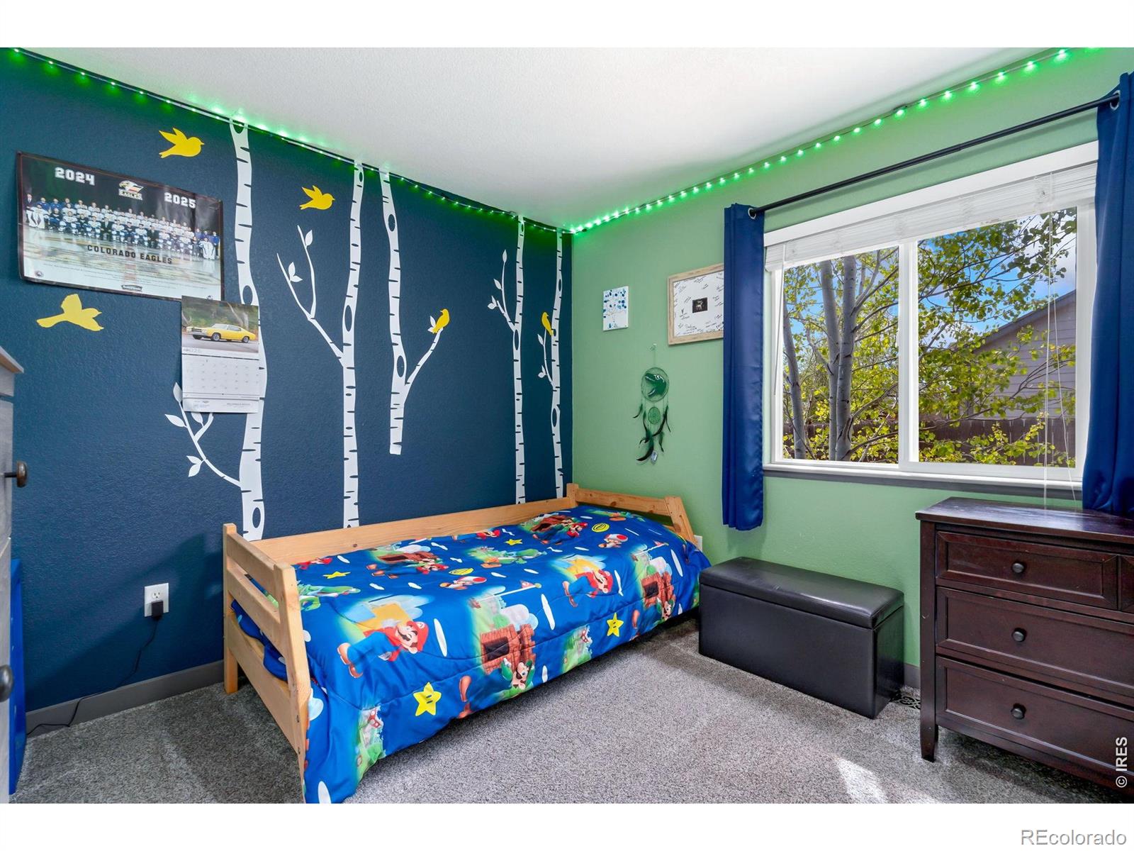 MLS Image #13 for 3240  belmont court,wellington, Colorado