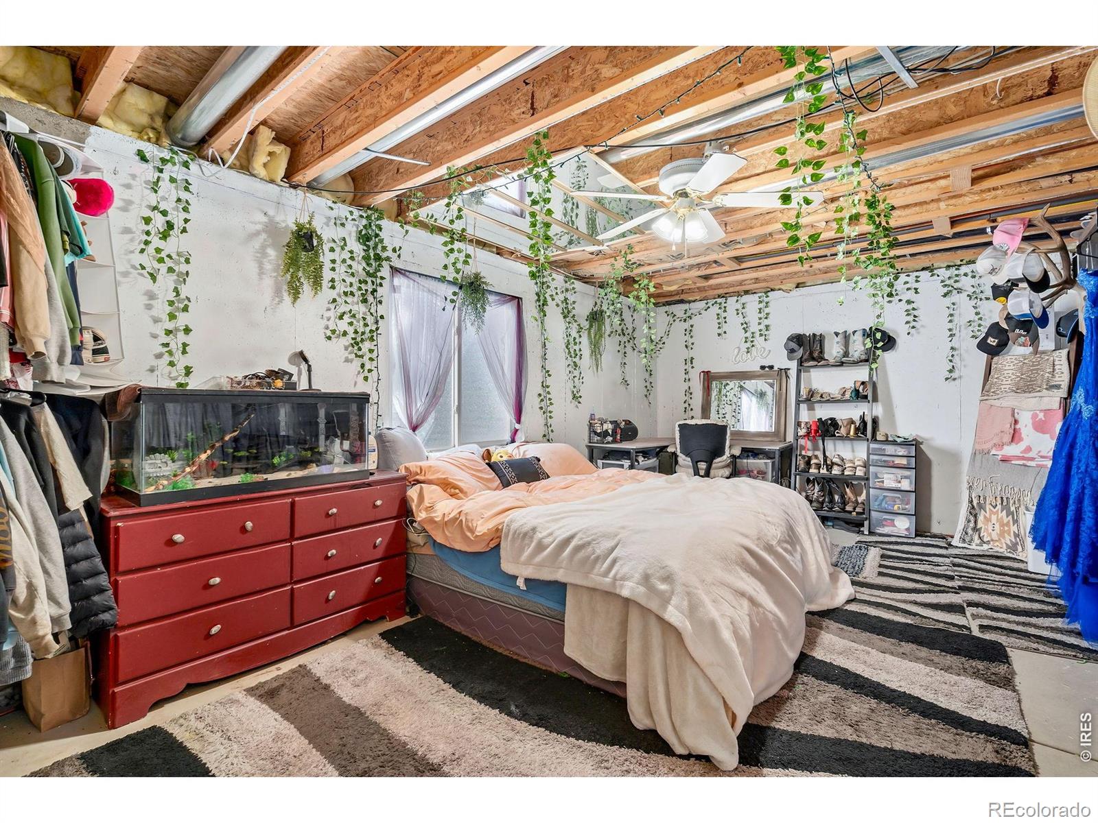 MLS Image #17 for 3240  belmont court,wellington, Colorado