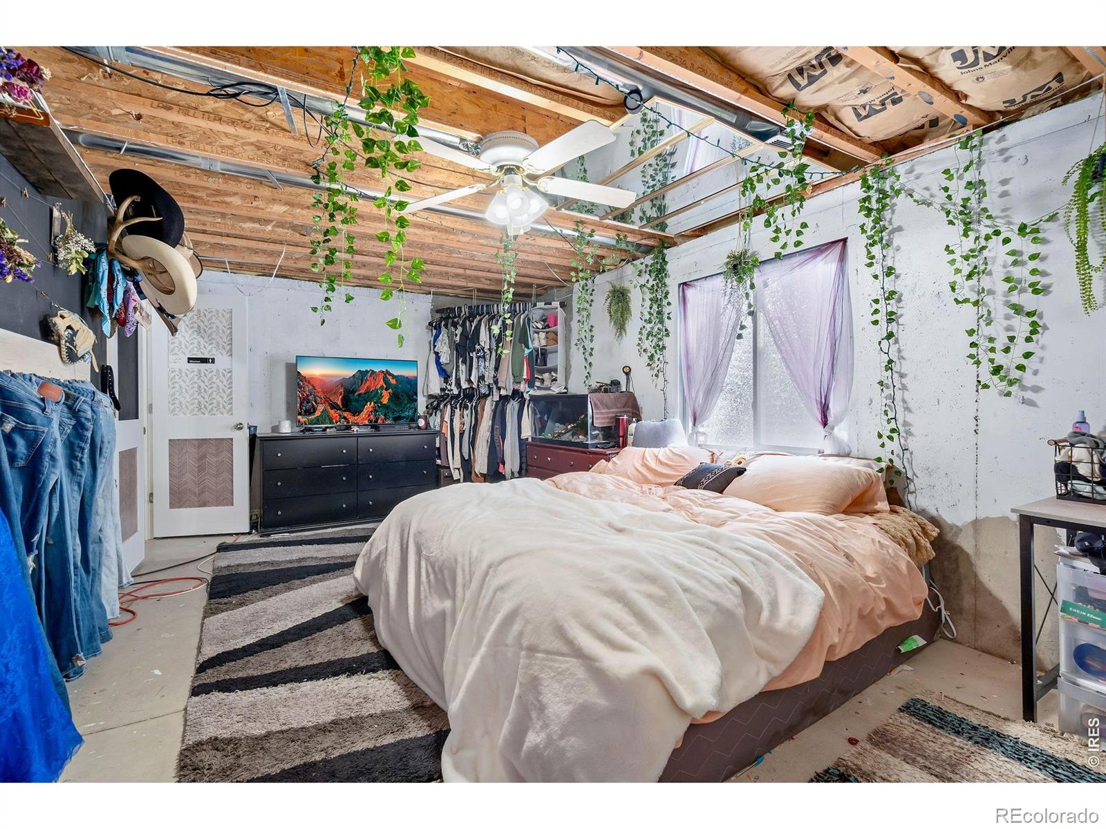 MLS Image #18 for 3240  belmont court,wellington, Colorado