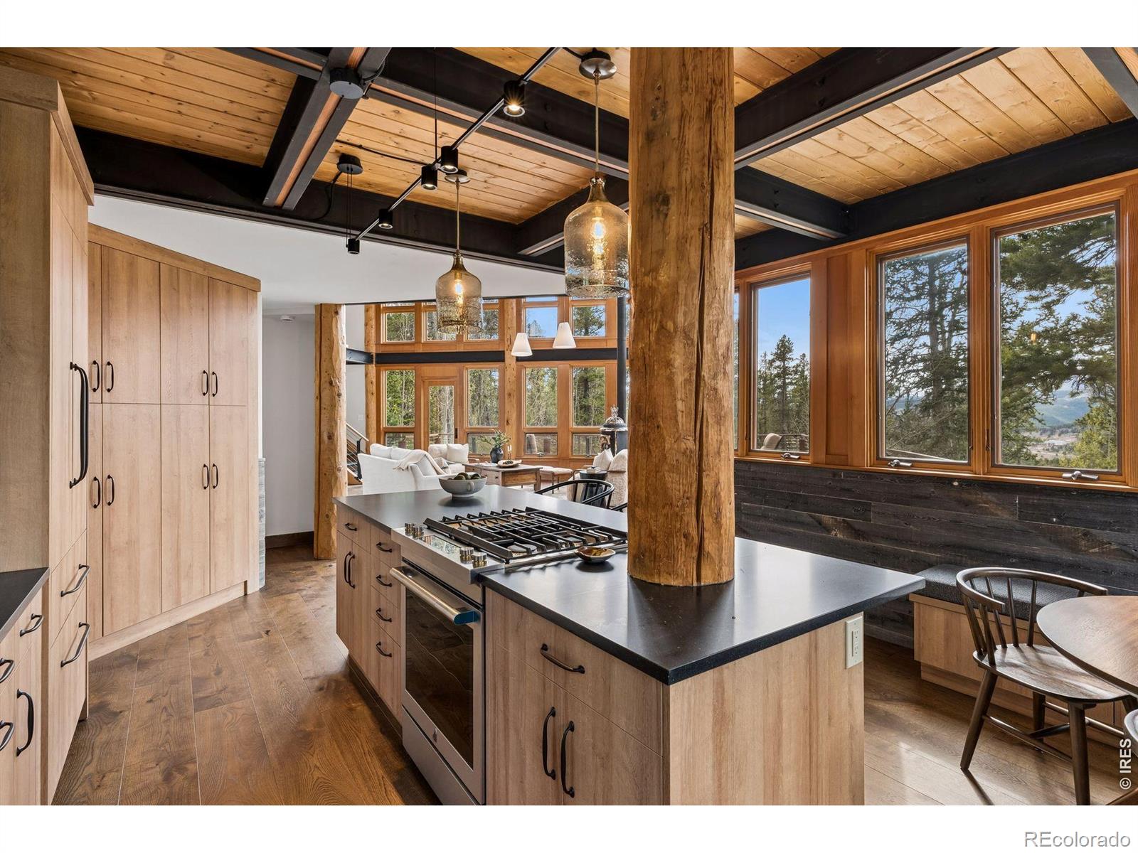 MLS Image #10 for 96  bristlecone way,black hawk, Colorado