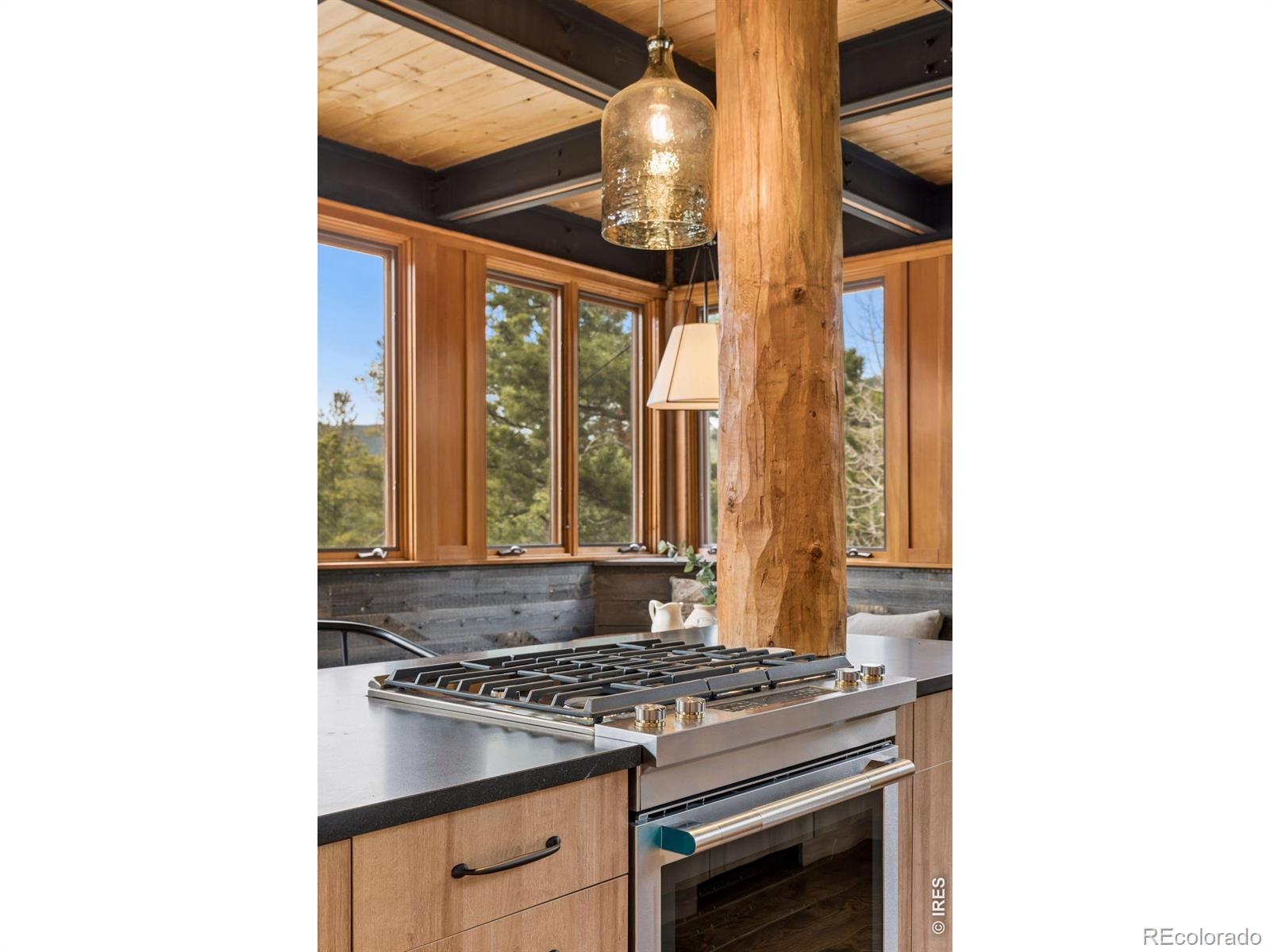 MLS Image #12 for 96  bristlecone way,black hawk, Colorado