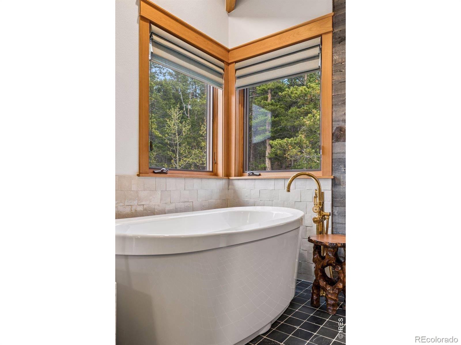 MLS Image #24 for 96  bristlecone way,black hawk, Colorado