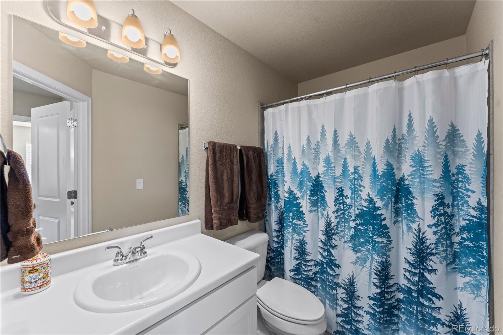 MLS Image #29 for 8139  henzlee place,peyton, Colorado