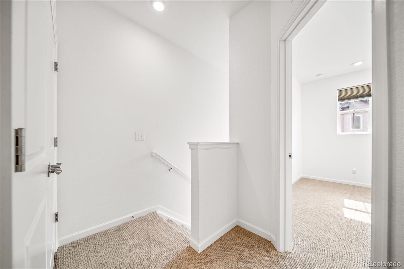 MLS Image #23 for 475  millwall circle ,castle pines, Colorado