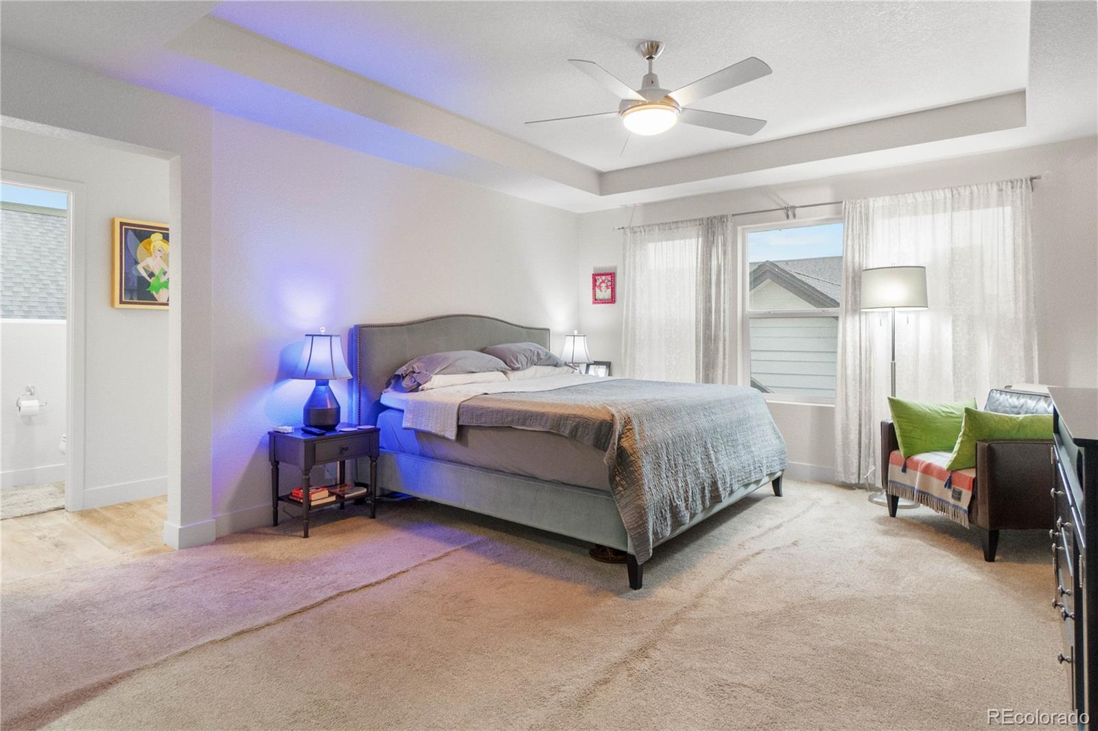 MLS Image #17 for 253 s 45th avenue,brighton, Colorado