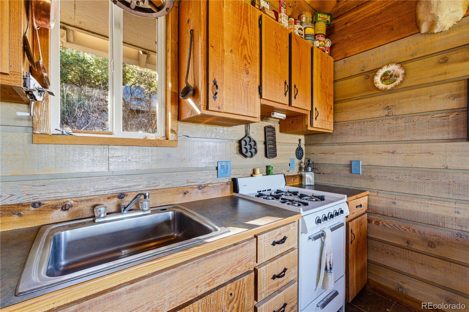 MLS Image #14 for 2126  e path,cotopaxi, Colorado