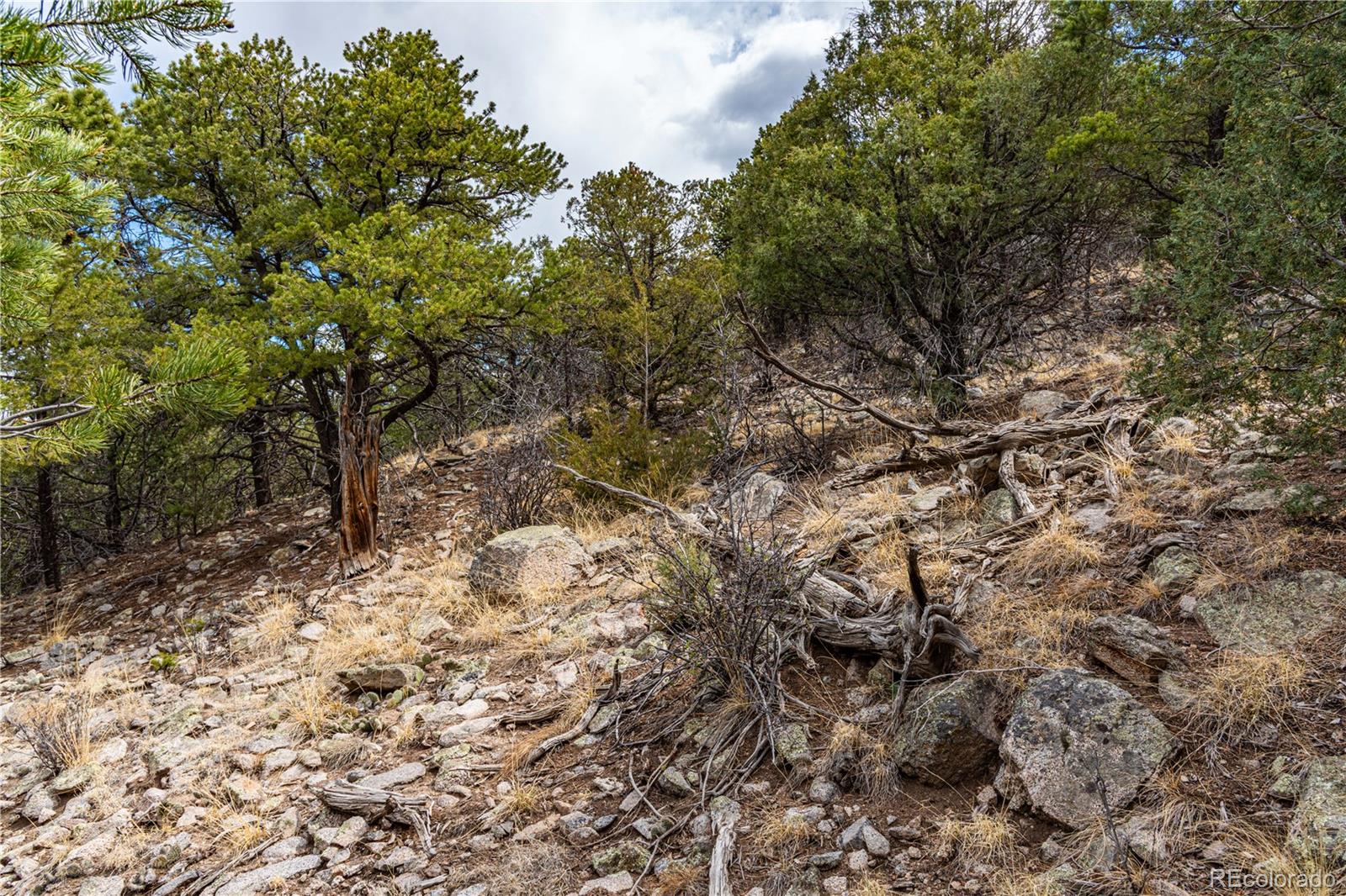 MLS Image #33 for 2126  e path,cotopaxi, Colorado