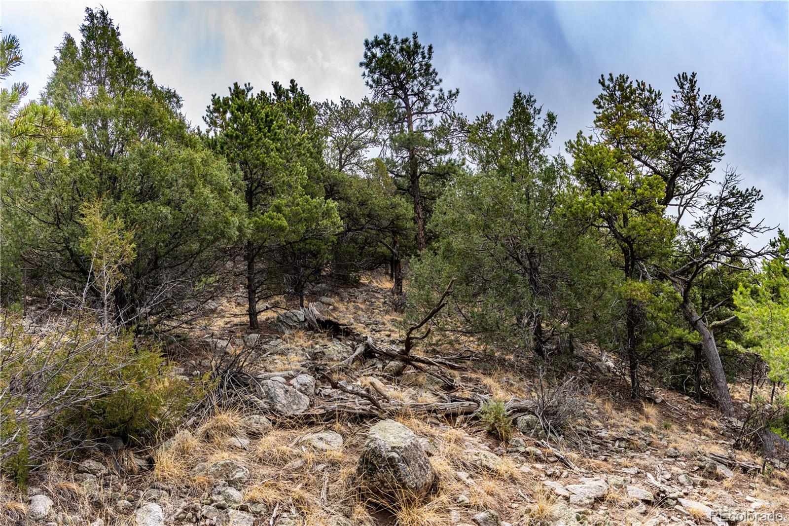 MLS Image #34 for 2126  e path,cotopaxi, Colorado