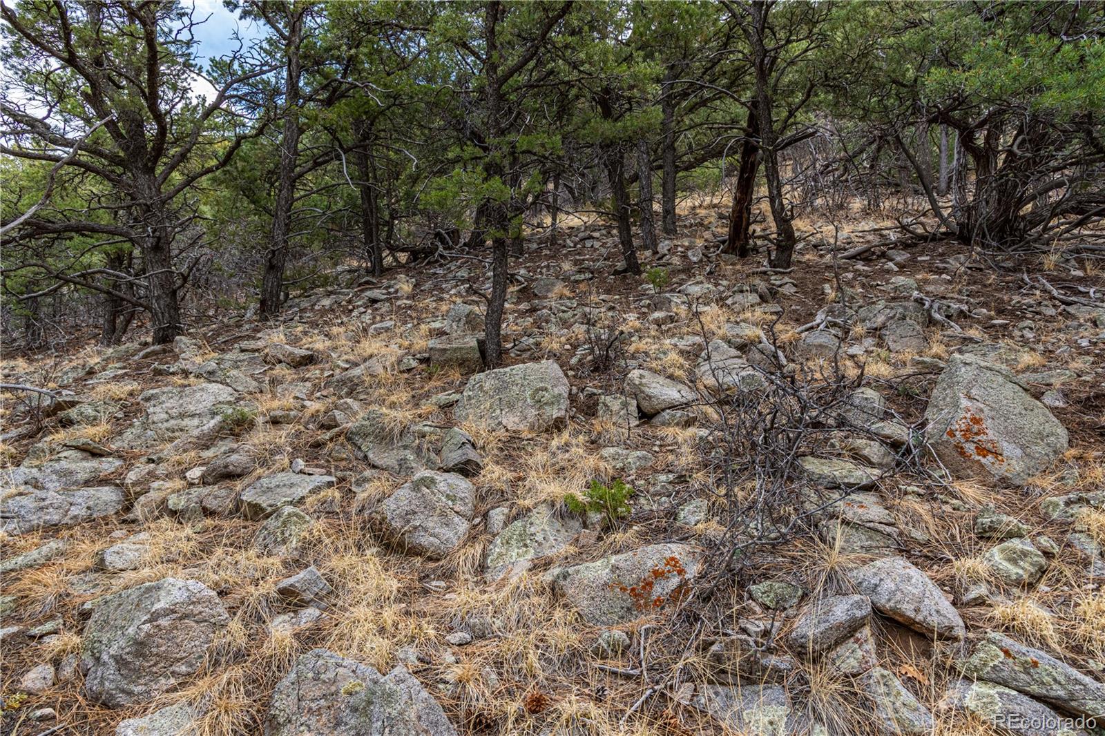 MLS Image #35 for 2126  e path,cotopaxi, Colorado