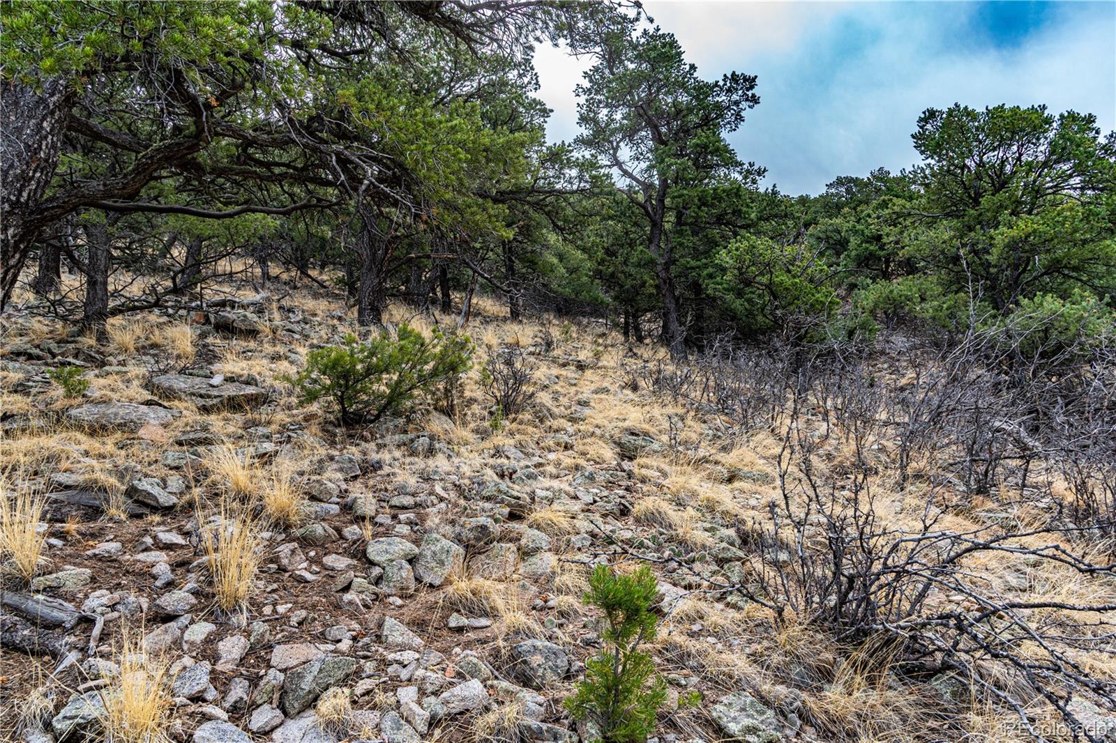 MLS Image #37 for 2126  e path,cotopaxi, Colorado