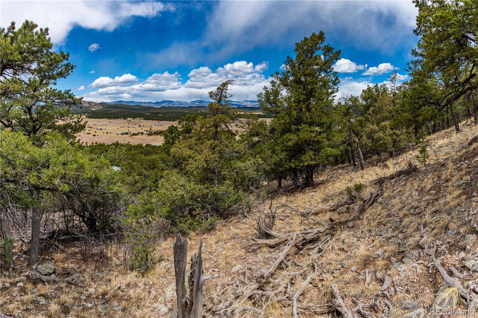 MLS Image #38 for 2126  e path,cotopaxi, Colorado
