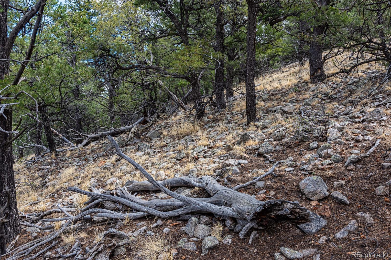 MLS Image #39 for 2126  e path,cotopaxi, Colorado