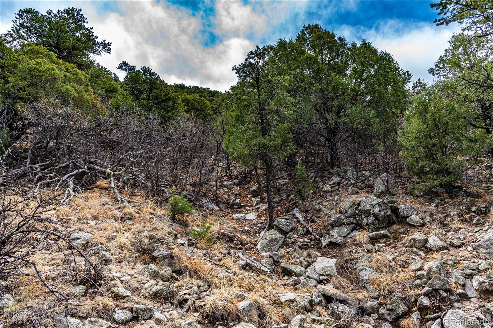 MLS Image #40 for 2126  e path,cotopaxi, Colorado