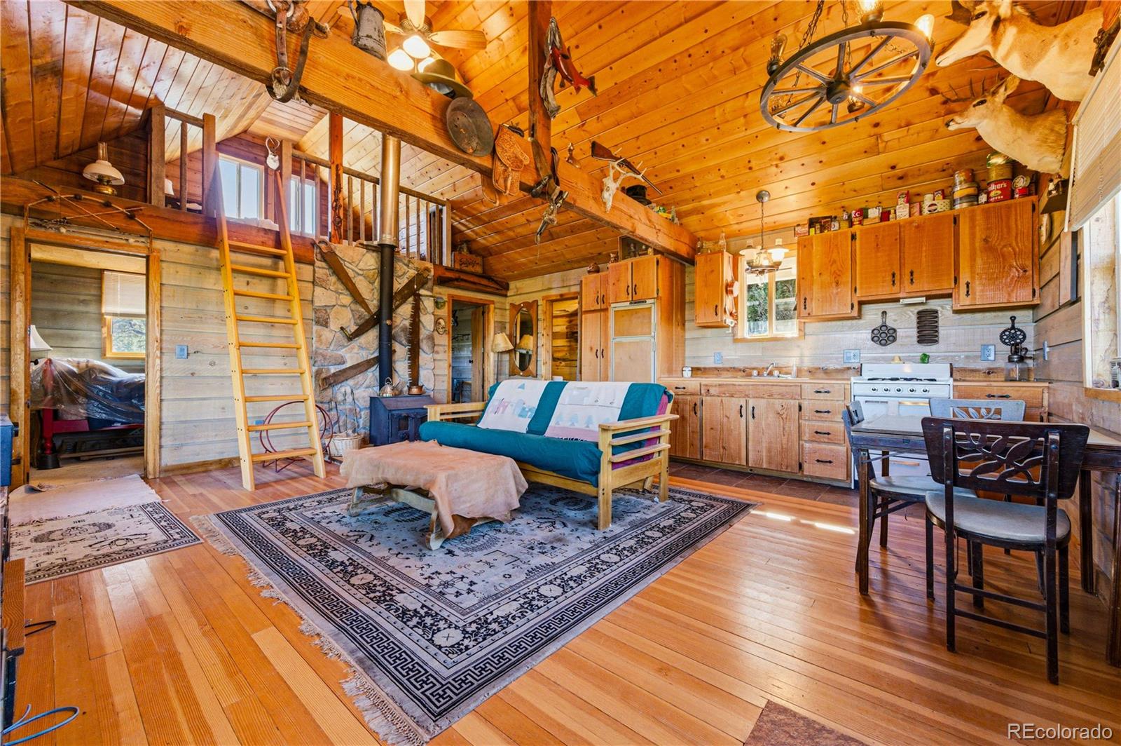 MLS Image #5 for 2126  e path,cotopaxi, Colorado