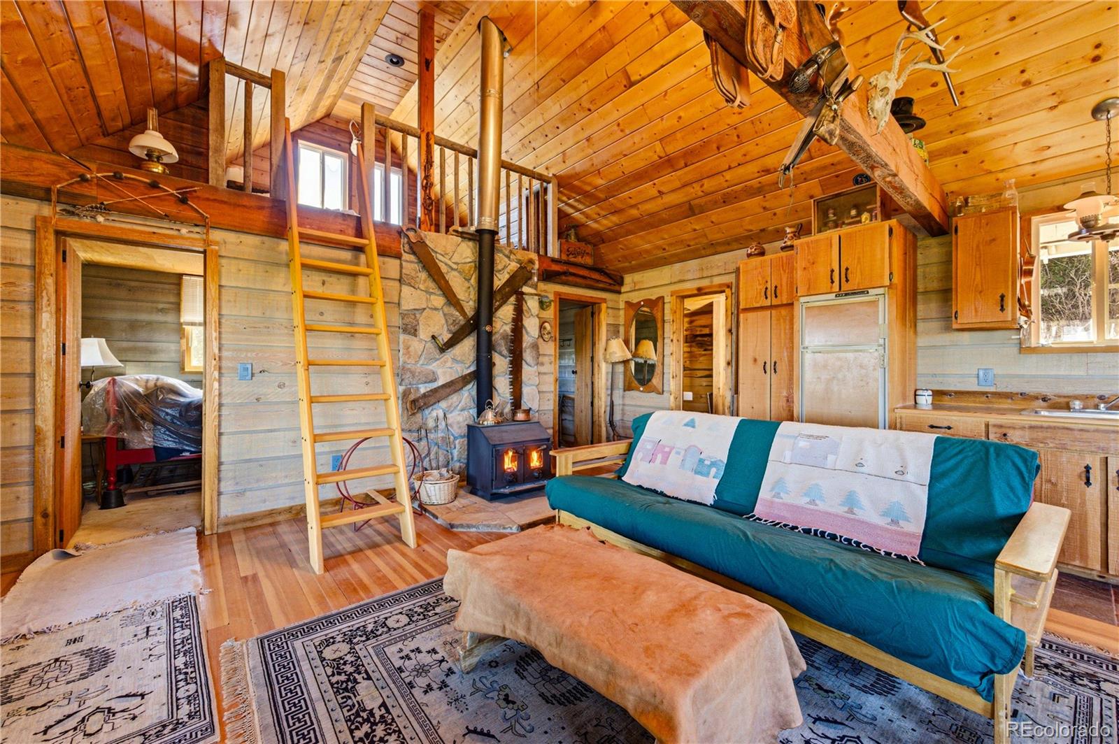 MLS Image #7 for 2126  e path,cotopaxi, Colorado