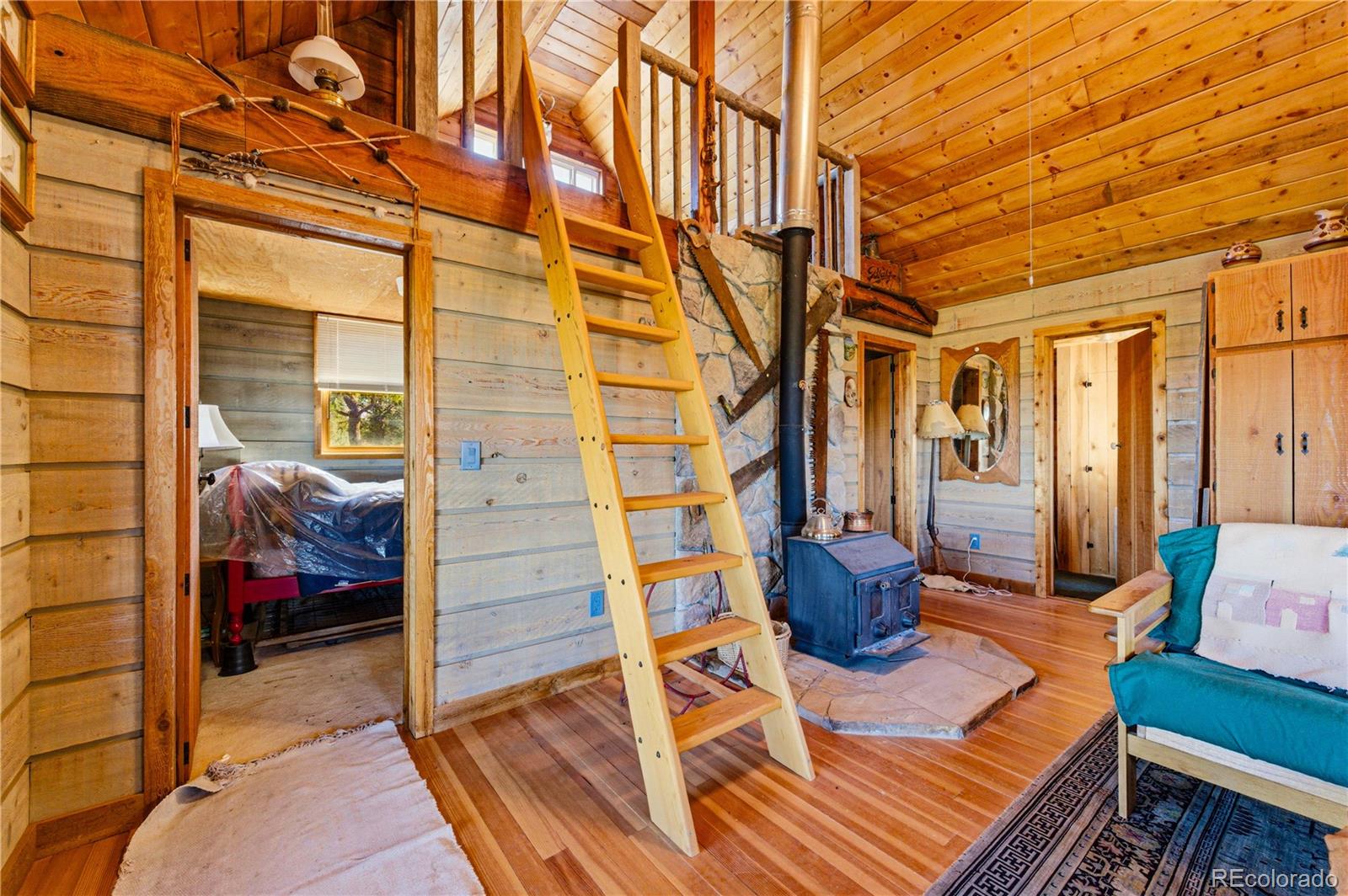 MLS Image #8 for 2126  e path,cotopaxi, Colorado