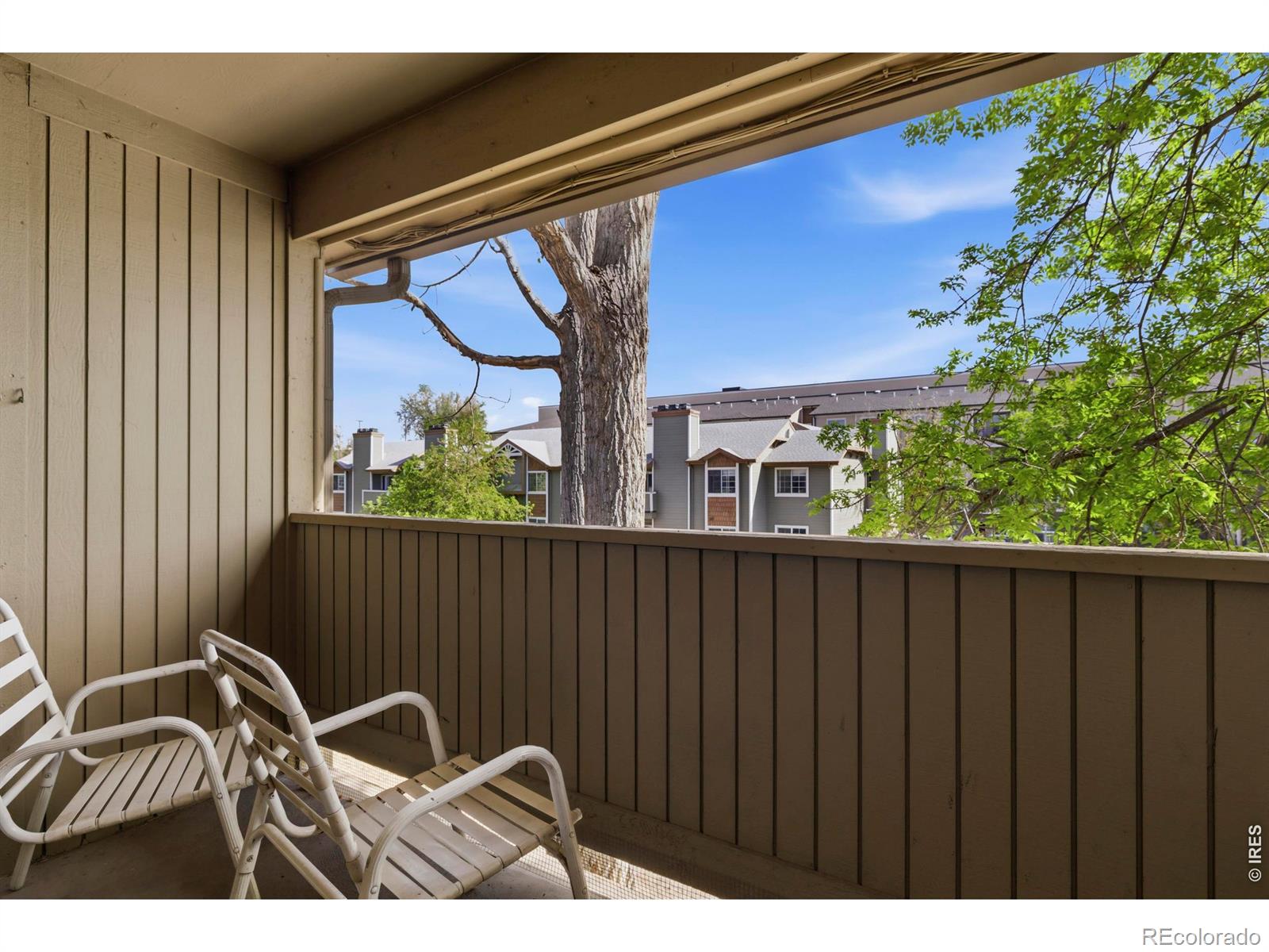 MLS Image #23 for 710  city park avenue,fort collins, Colorado