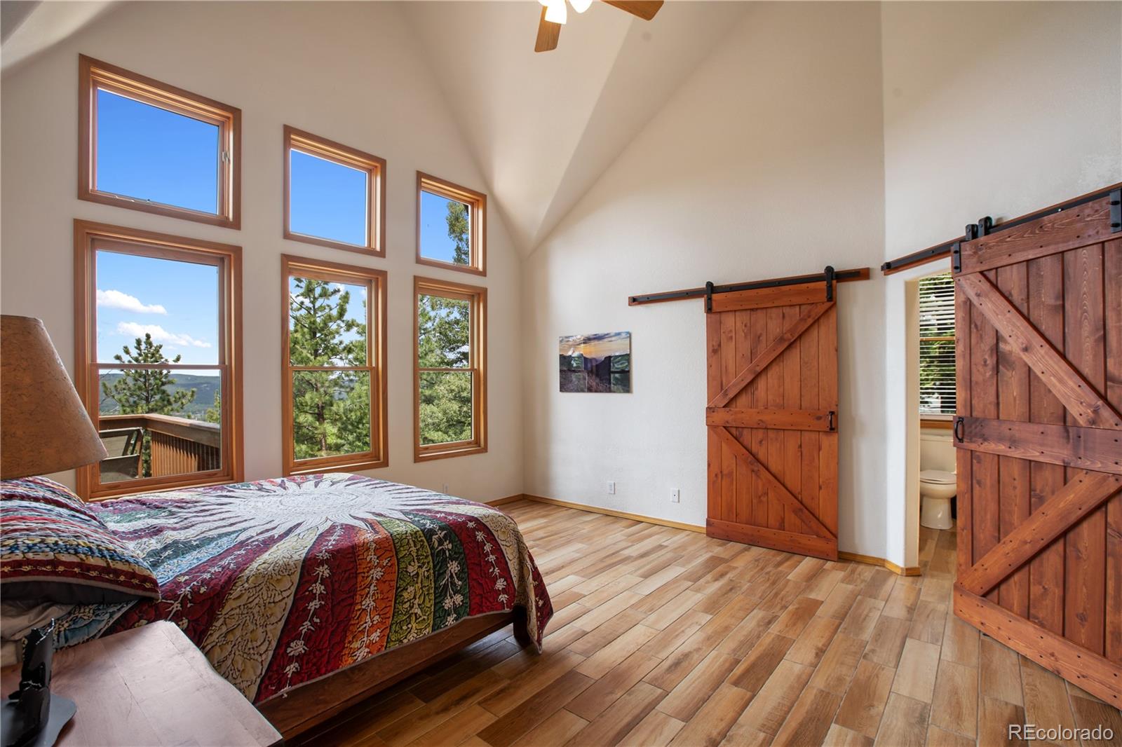 MLS Image #15 for 1321  forest edge road,woodland park, Colorado