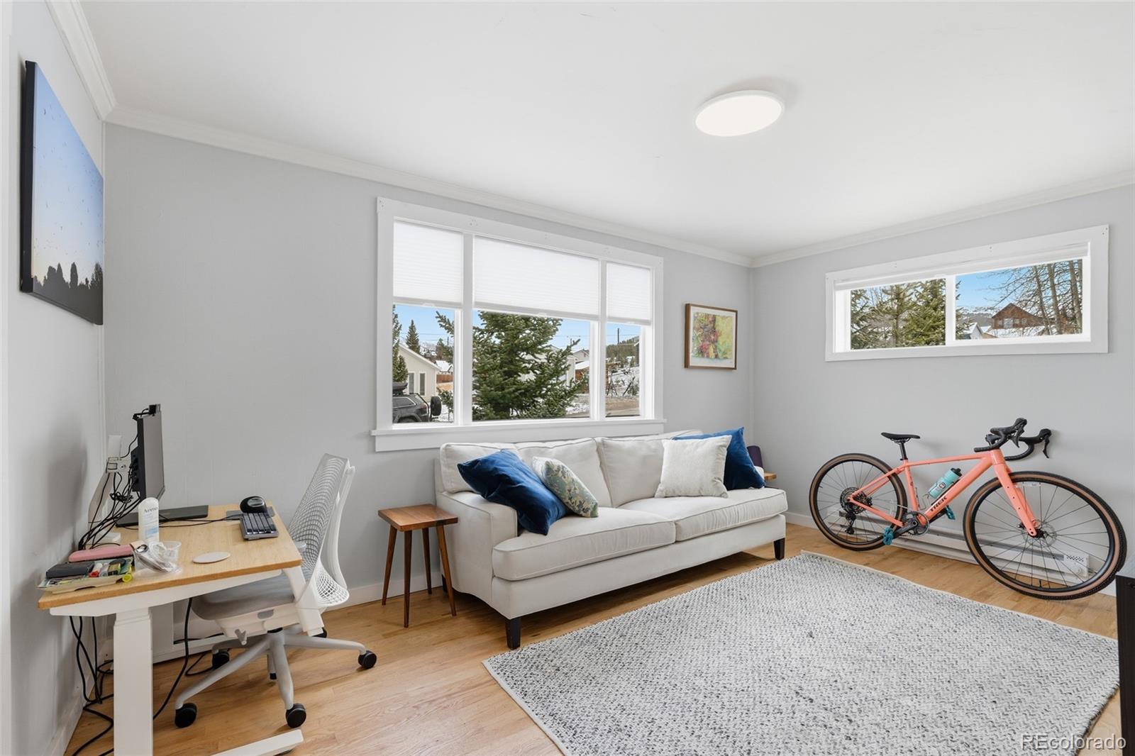 MLS Image #17 for 617 e 6th street,leadville, Colorado