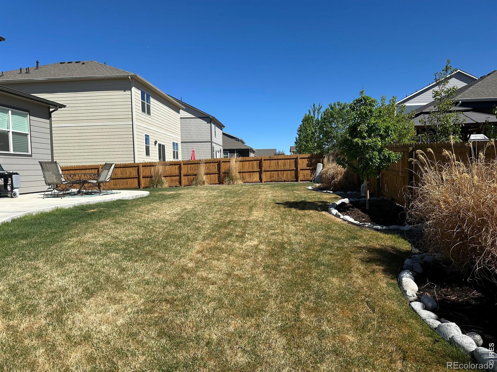 MLS Image #5 for 14552  piedmontese drive,mead, Colorado