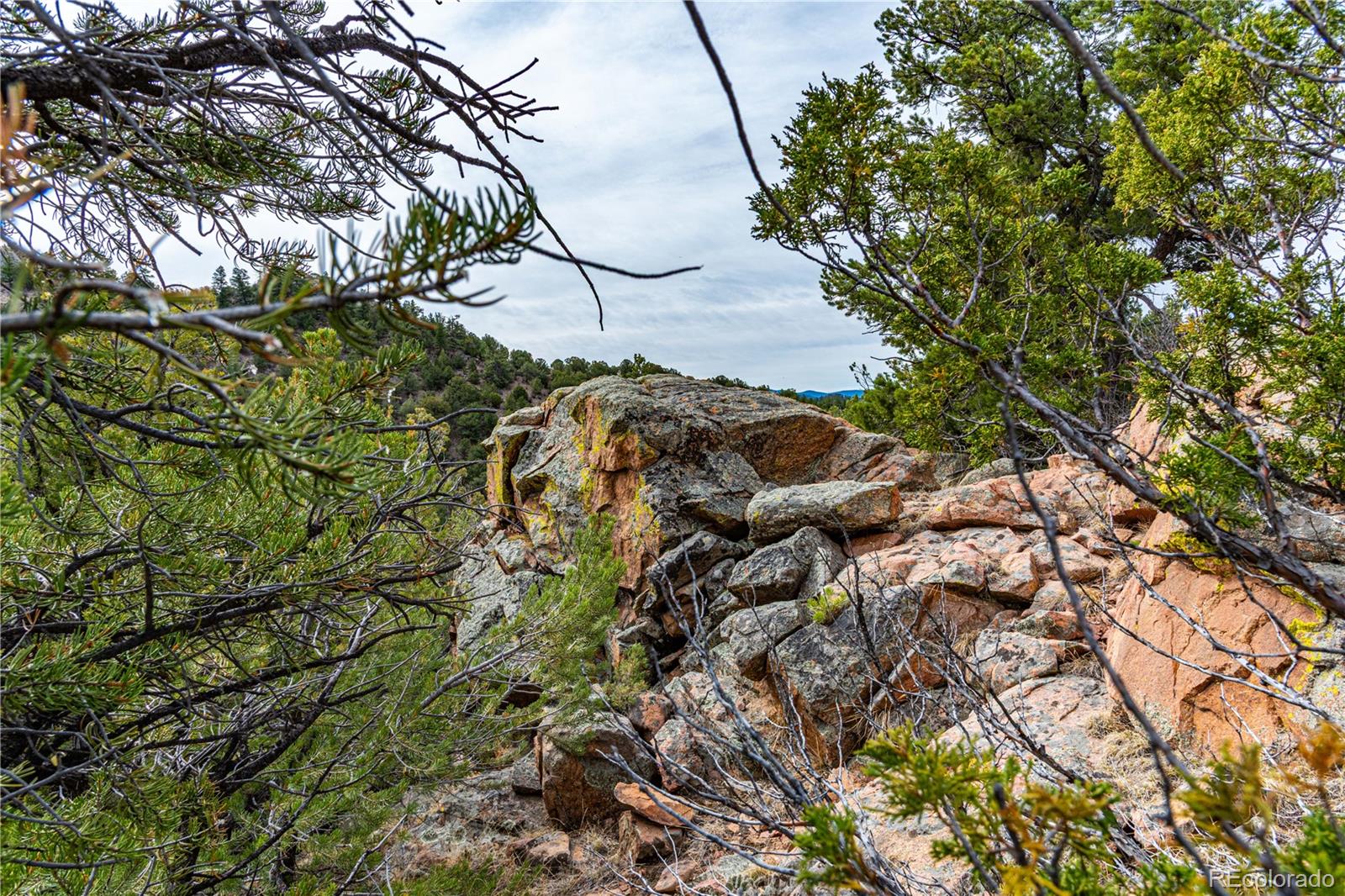 MLS Image #42 for 16174  county road 143 ,canon city, Colorado