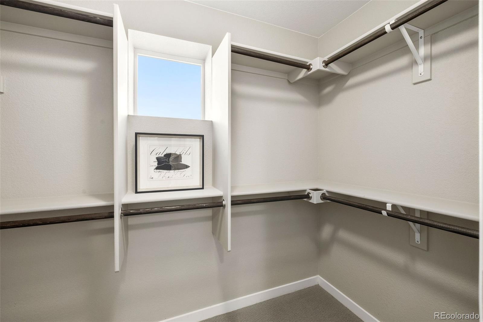 MLS Image #19 for 6830  lily mountain ,colorado springs, Colorado
