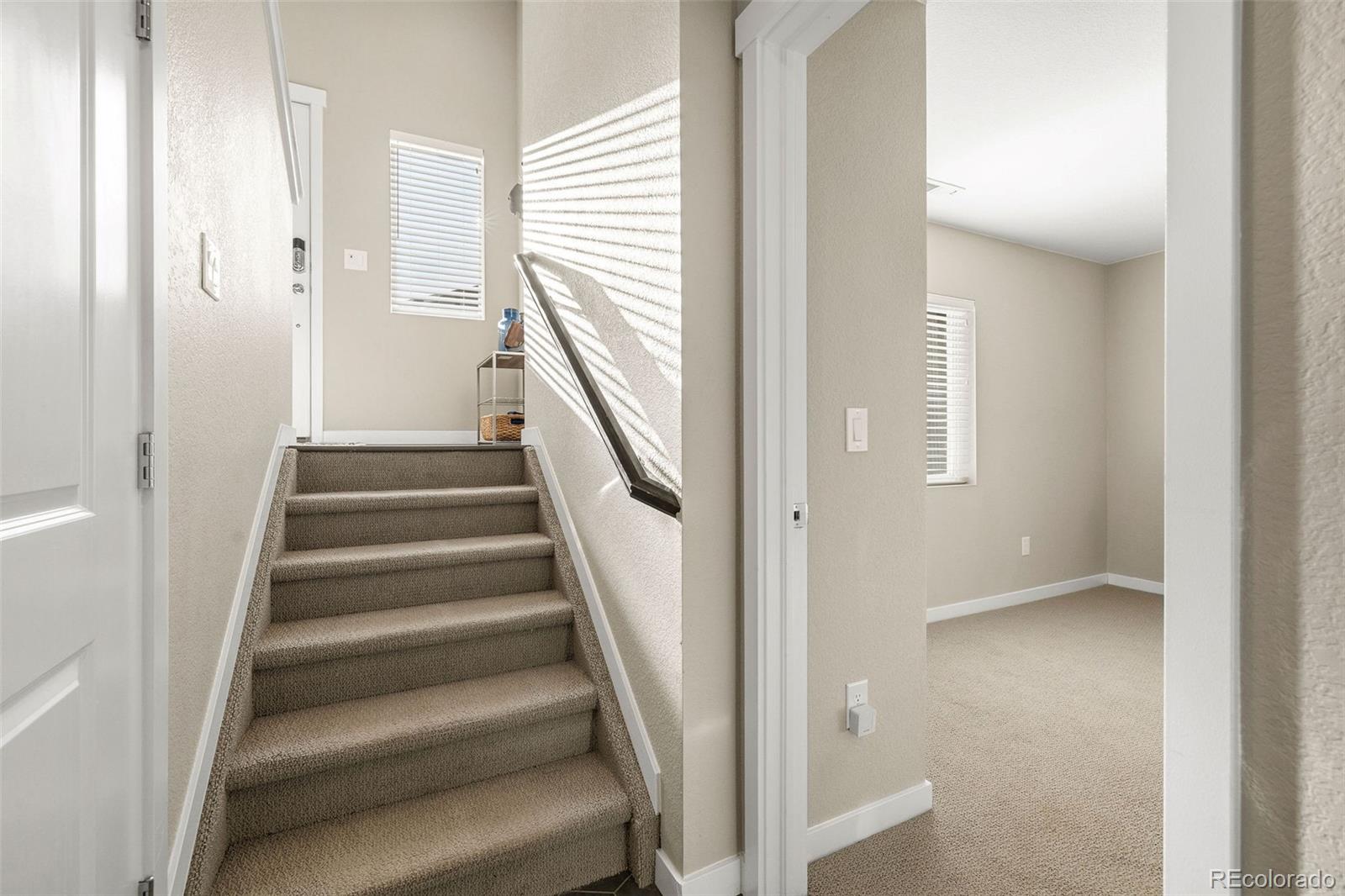 MLS Image #25 for 6830  lily mountain ,colorado springs, Colorado