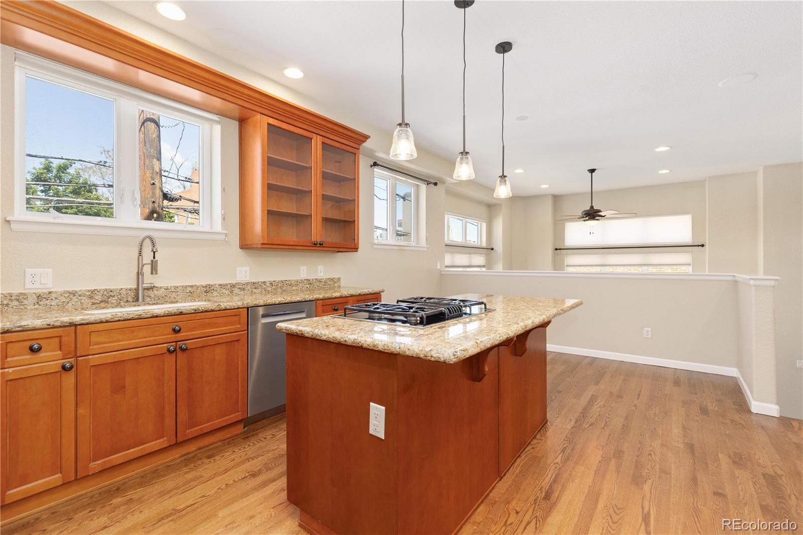 MLS Image #12 for 1263 n washington street,denver, Colorado