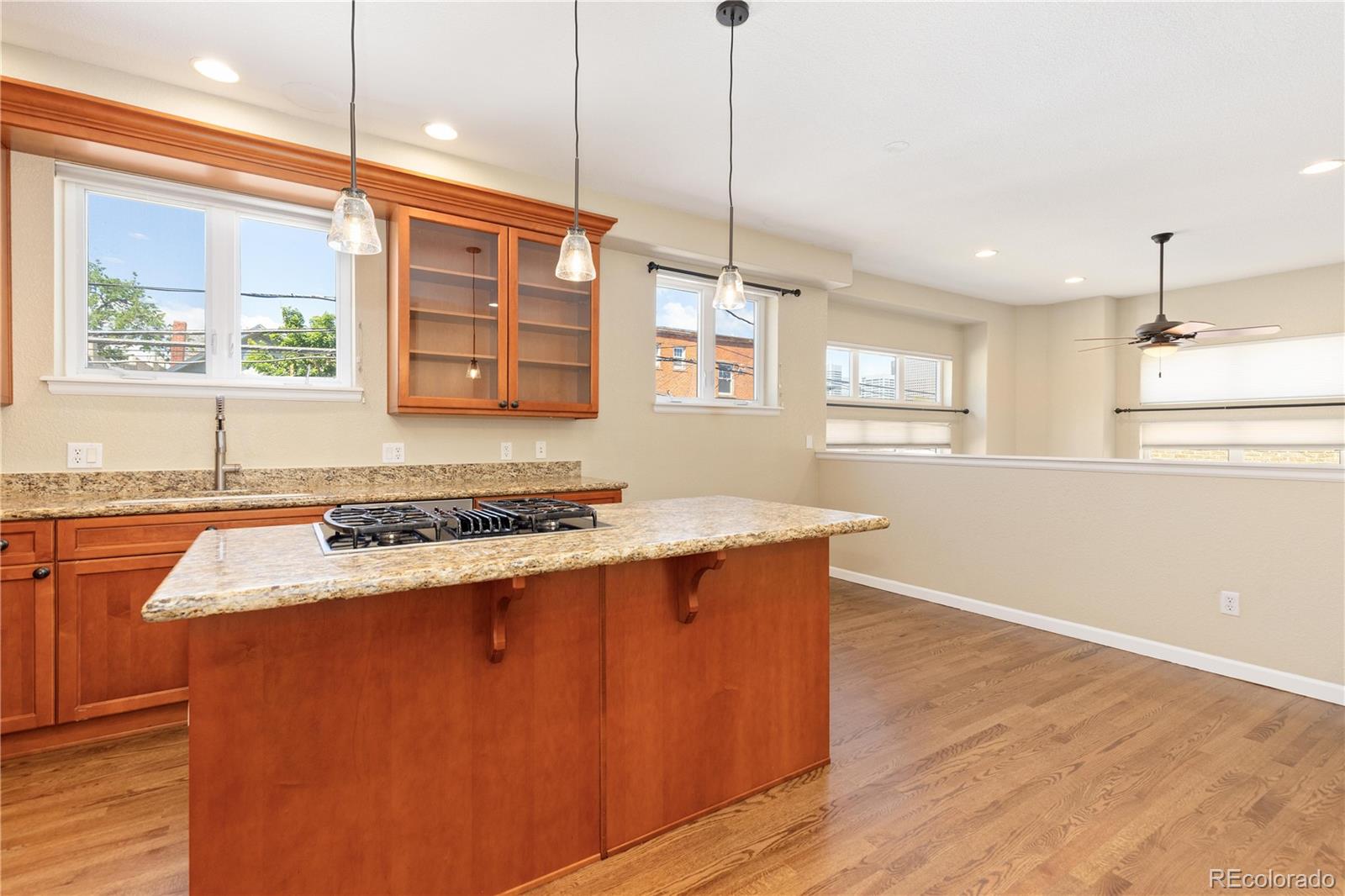 MLS Image #9 for 1263 n washington street,denver, Colorado