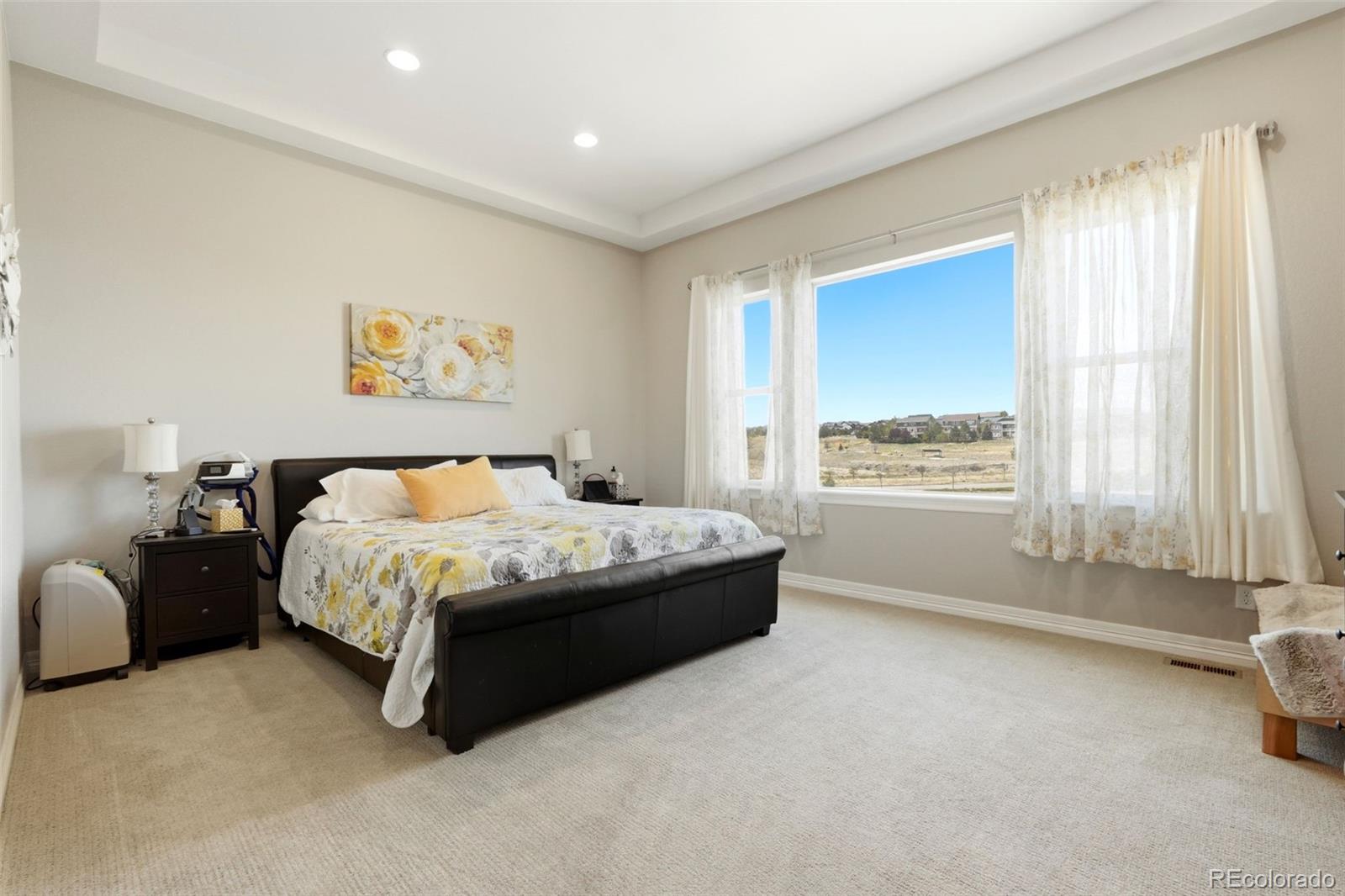 MLS Image #16 for 8641 s de gaulle court,aurora, Colorado