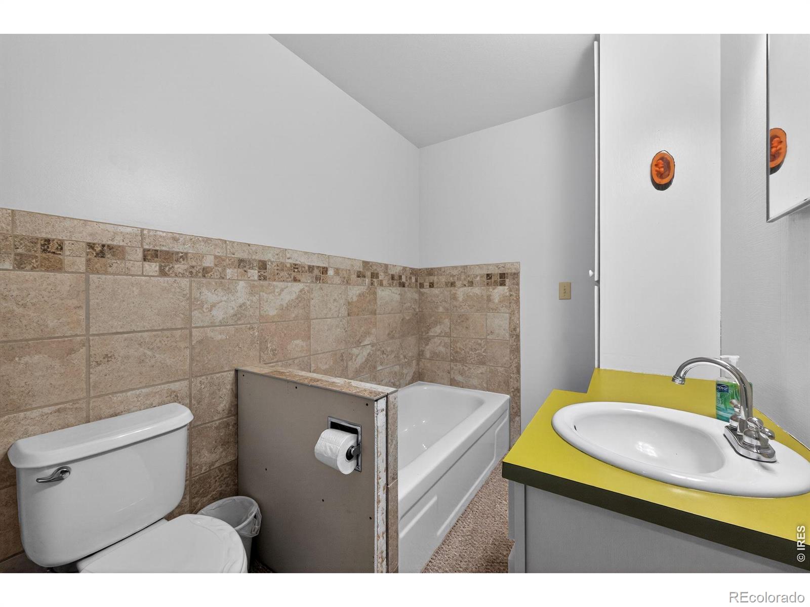 MLS Image #17 for 24244 w county road 74e ,red feather lakes, Colorado
