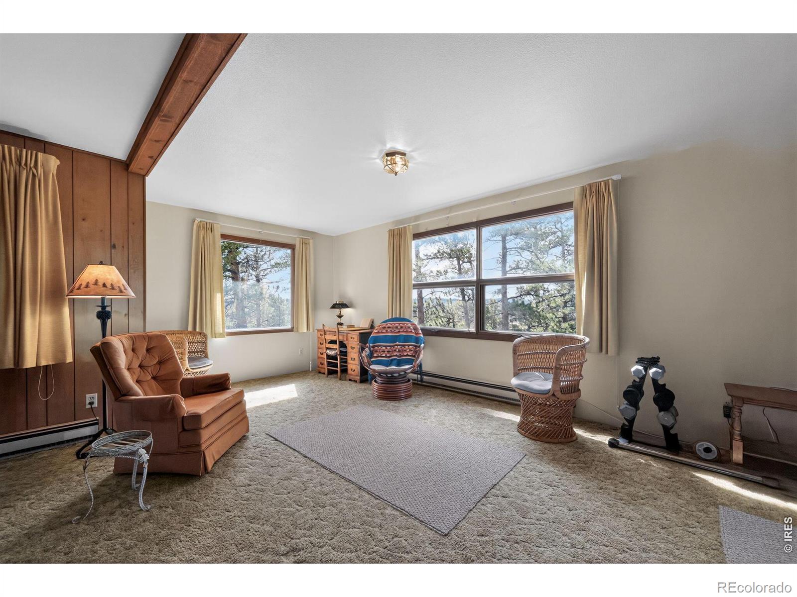 MLS Image #8 for 24244 w county road 74e ,red feather lakes, Colorado