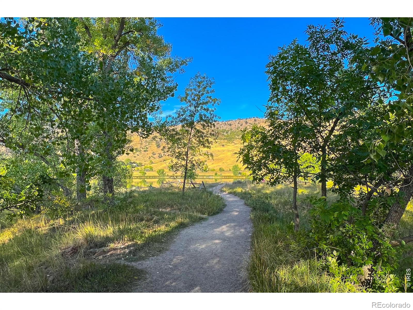 MLS Image #37 for 4017  wonderland hill avenue,boulder, Colorado