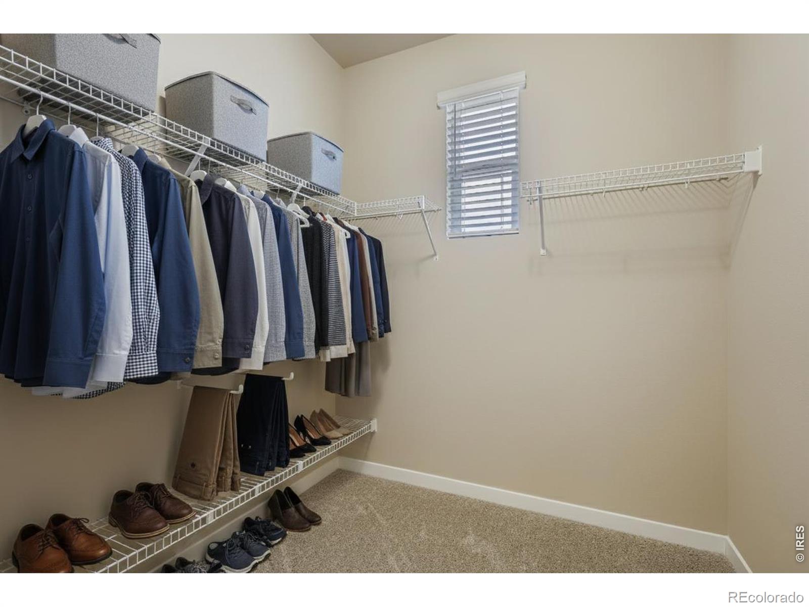 MLS Image #11 for 978 e nettle lane,fort collins, Colorado