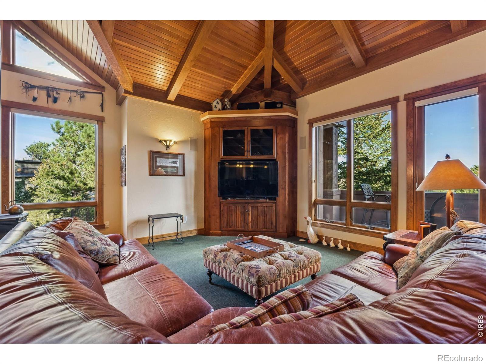 MLS Image #24 for 105  elk trail,red feather lakes, Colorado
