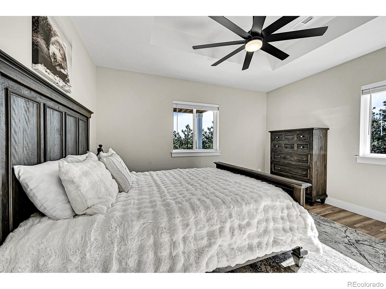 MLS Image #23 for 4163  rainbow view lane,loveland, Colorado