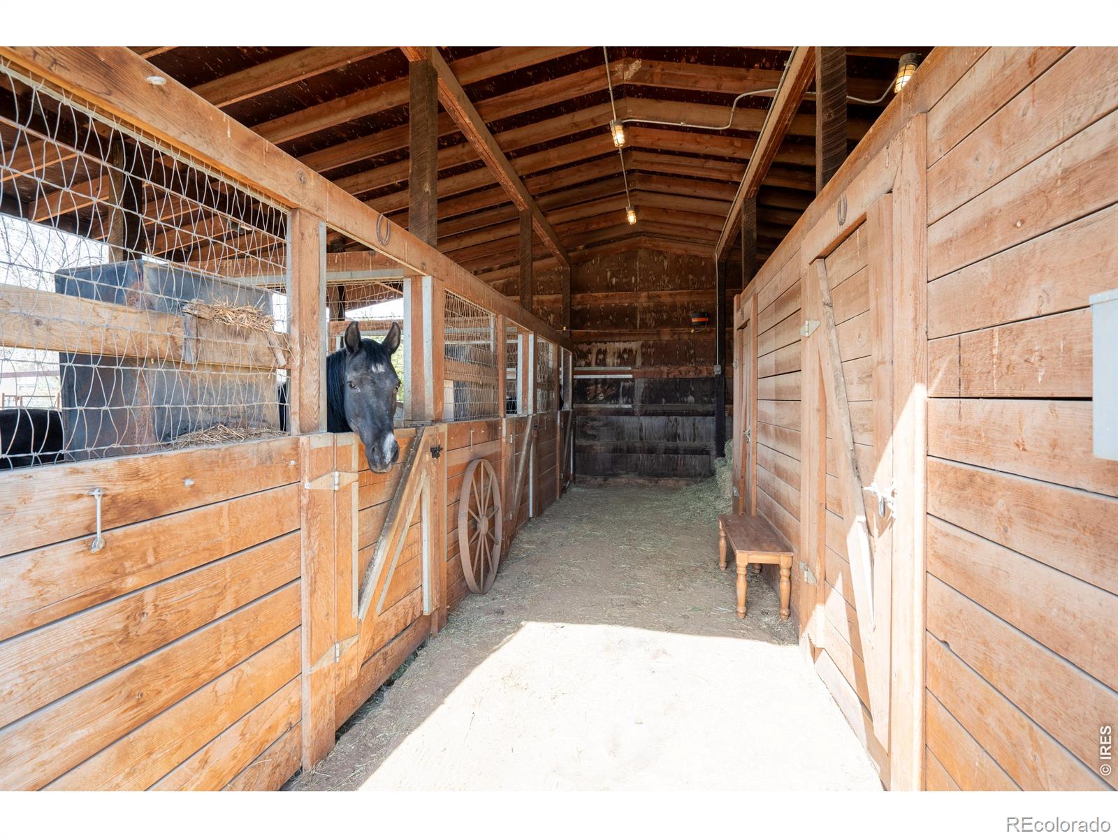 MLS Image #27 for 3930  arleigh drive,berthoud, Colorado