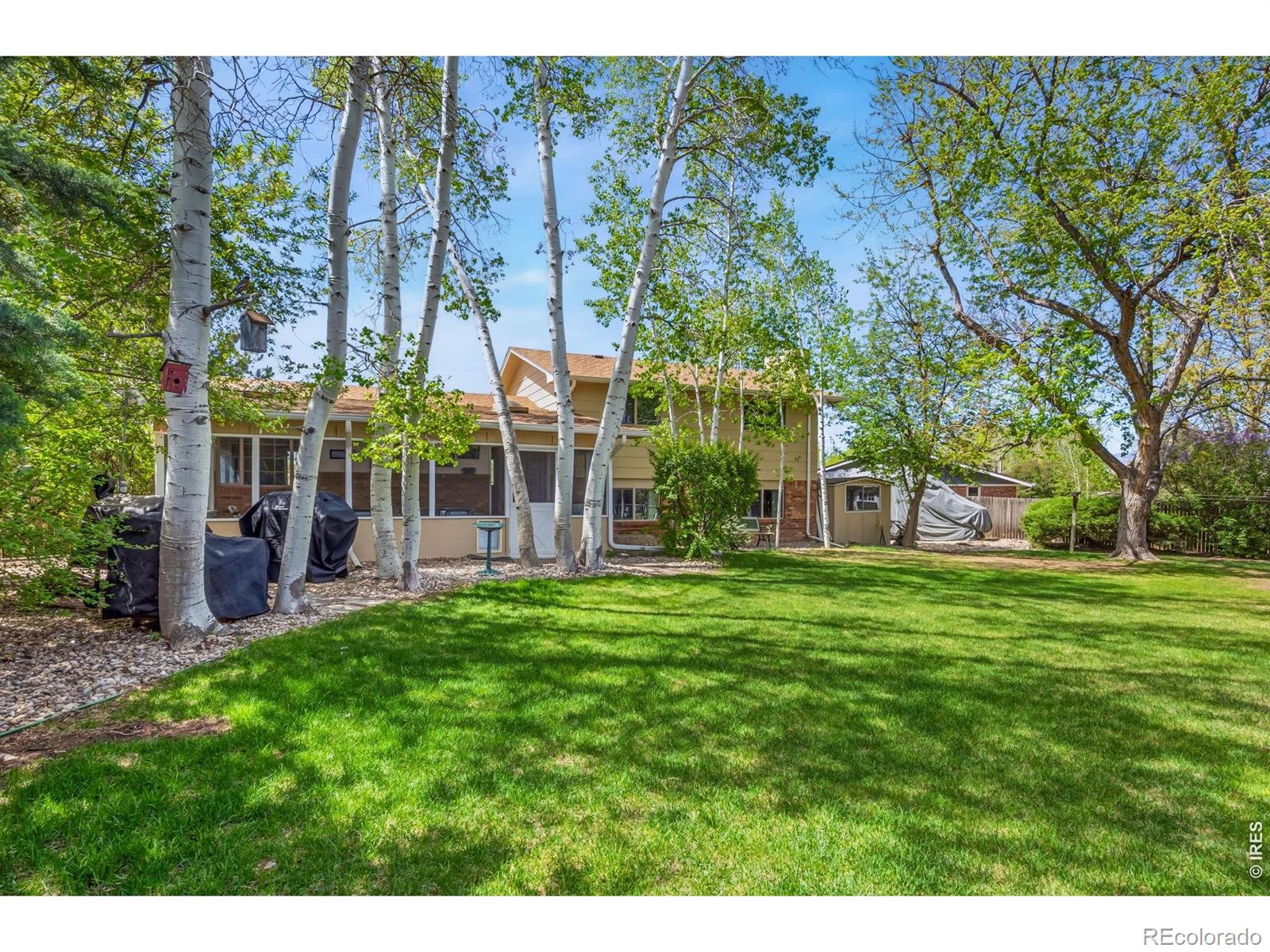 MLS Image #28 for 605  jack pine place,loveland, Colorado