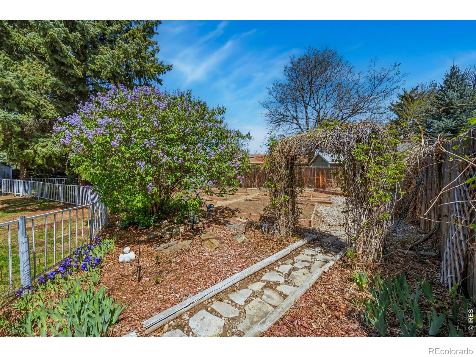 MLS Image #31 for 605  jack pine place,loveland, Colorado