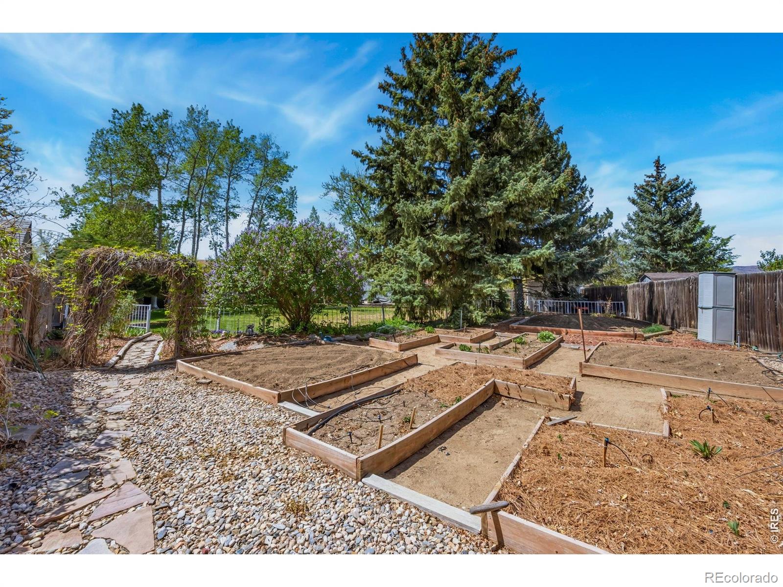MLS Image #32 for 605  jack pine place,loveland, Colorado