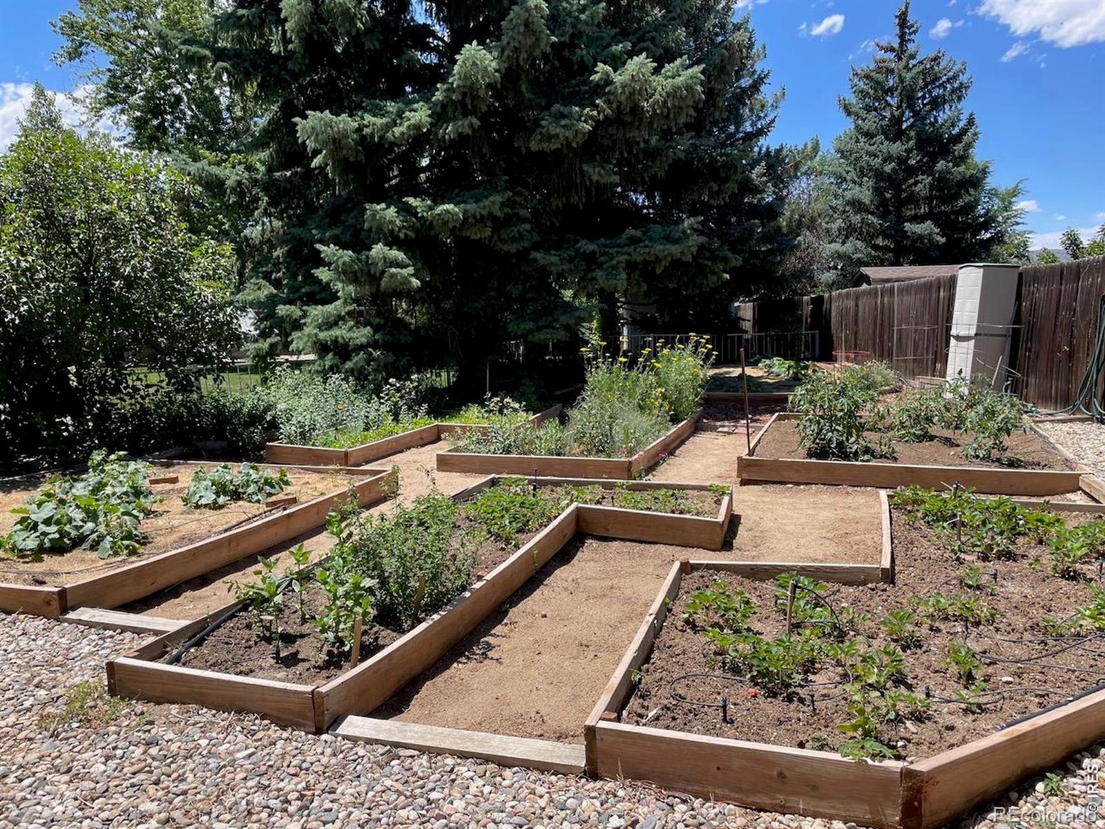 MLS Image #36 for 605  jack pine place,loveland, Colorado