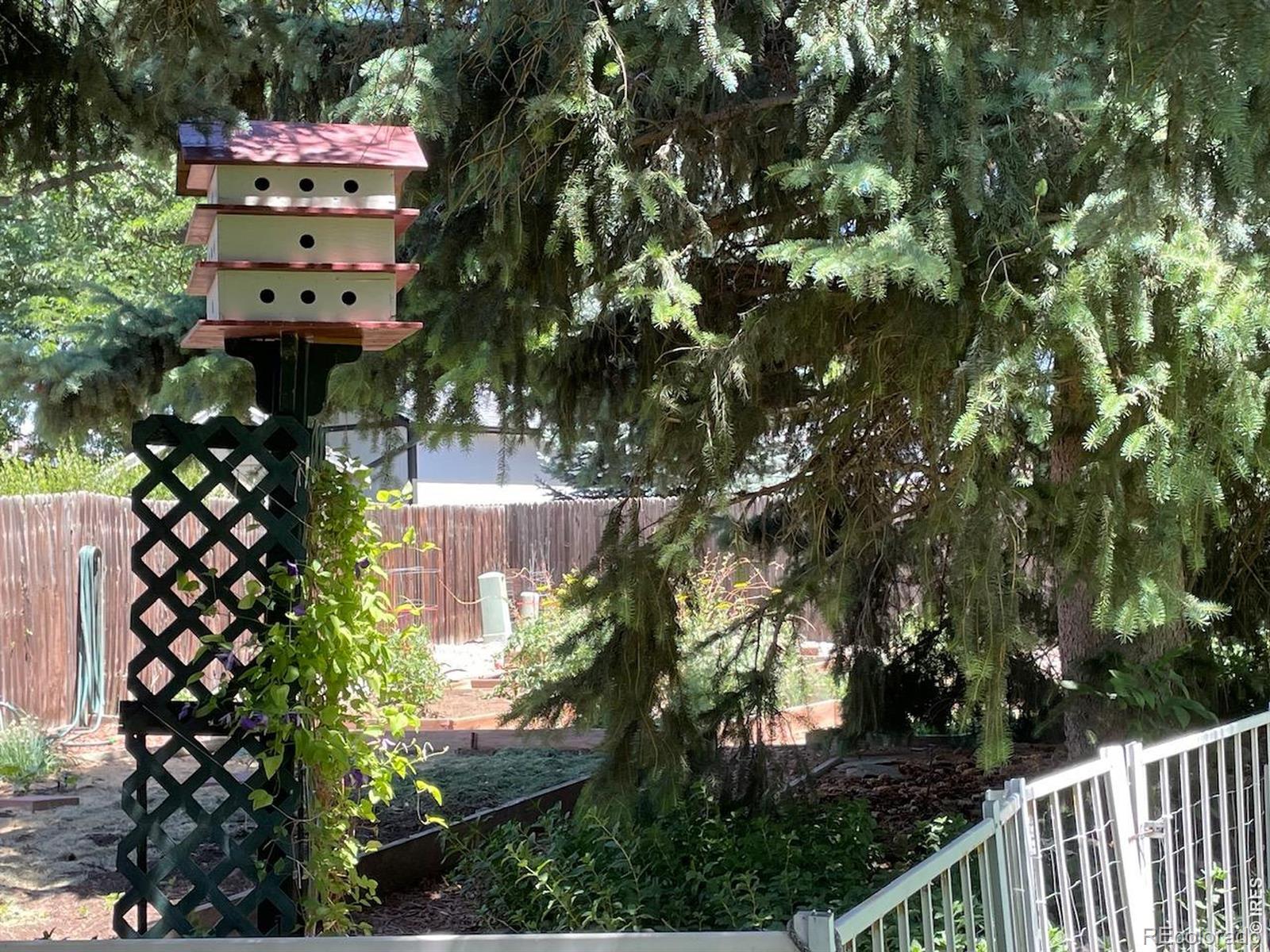 MLS Image #42 for 605  jack pine place,loveland, Colorado