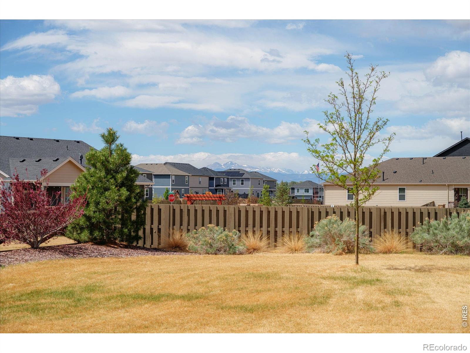 MLS Image #42 for 209  silo court,severance, Colorado