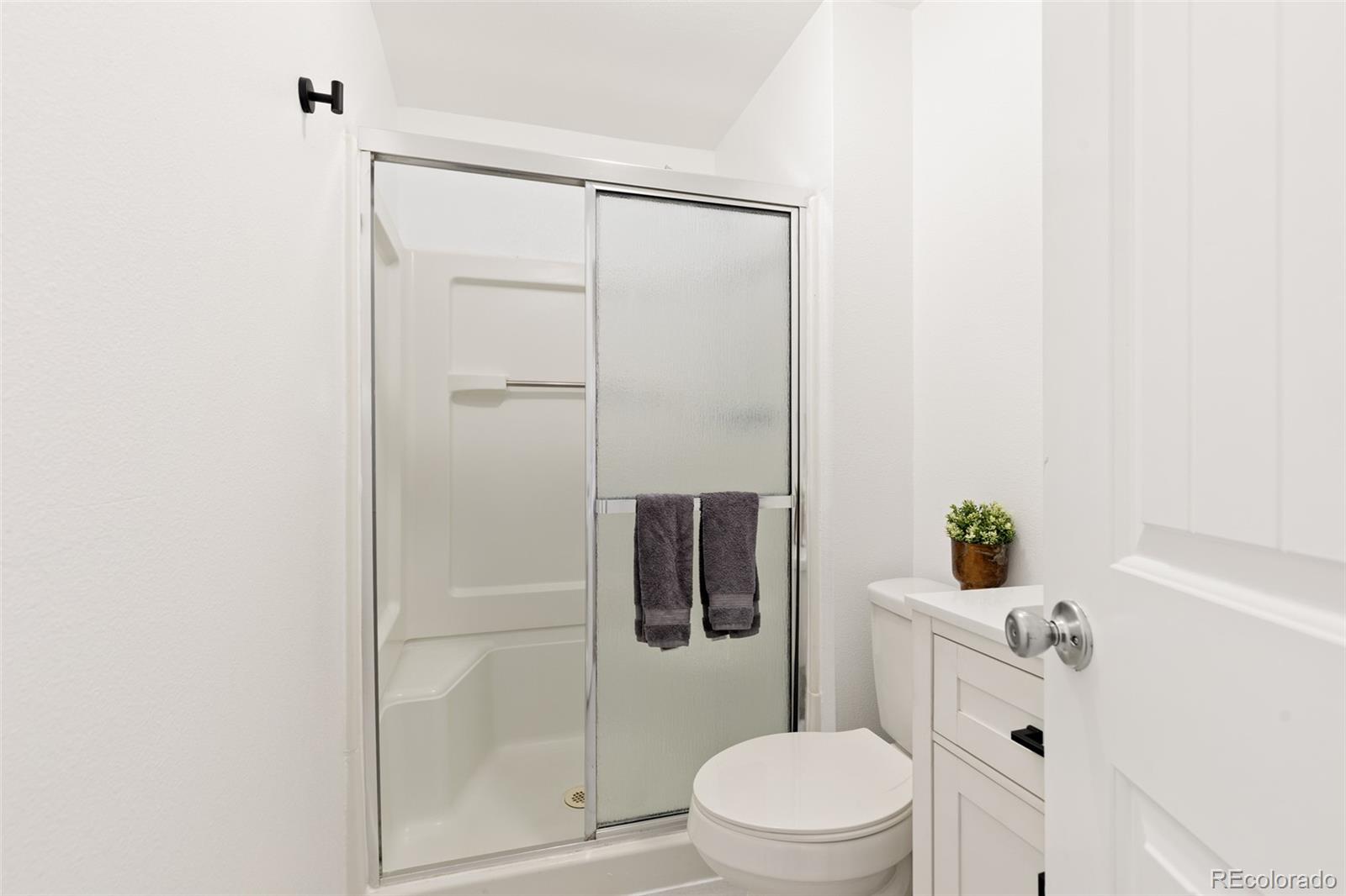 MLS Image #29 for 887  clarkson court,denver, Colorado